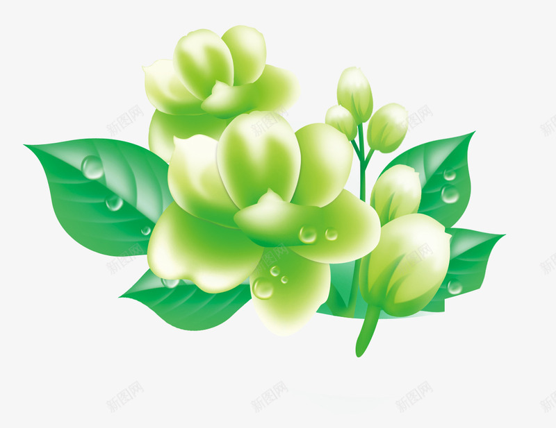 茉莉花psd免抠素材_新图网 https://ixintu.com 花卉 茉莉花 鲜花