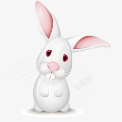 大耳朵的兔子白色大耳兔矢量图高清图片