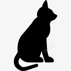 猫坐在坐在猫图标高清图片