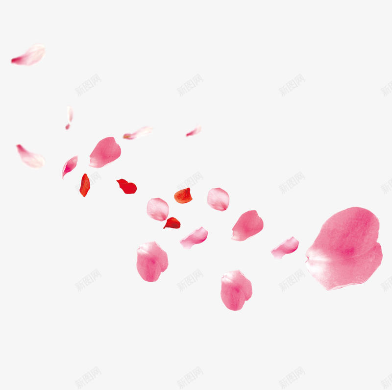 粉红色的花瓣图png免抠素材_新图网 https://ixintu.com 一堆花瓣 免抠 免抠图 粉红色 粉色 花 花朵 花瓣 鲜花