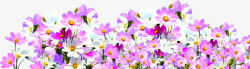 粉色鲜花花卉花丛装饰素材