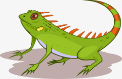 卡通蜥蜴手绘卡通绿色蜥蜴高清图片