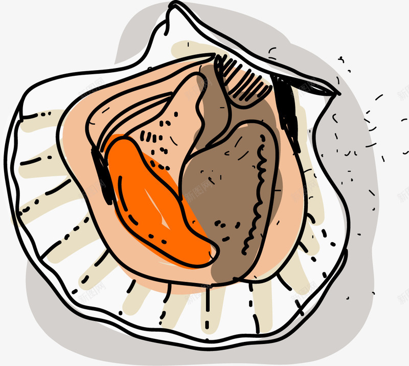 新鲜肉质卡通扇贝png免抠素材_新图网 https://ixintu.com 卡通 扁平风格 扇贝生蚝 新鲜的扇贝 新鲜肉质 生蚝 矢量生蚝