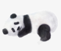 手绘黑白国宝熊猫素材
