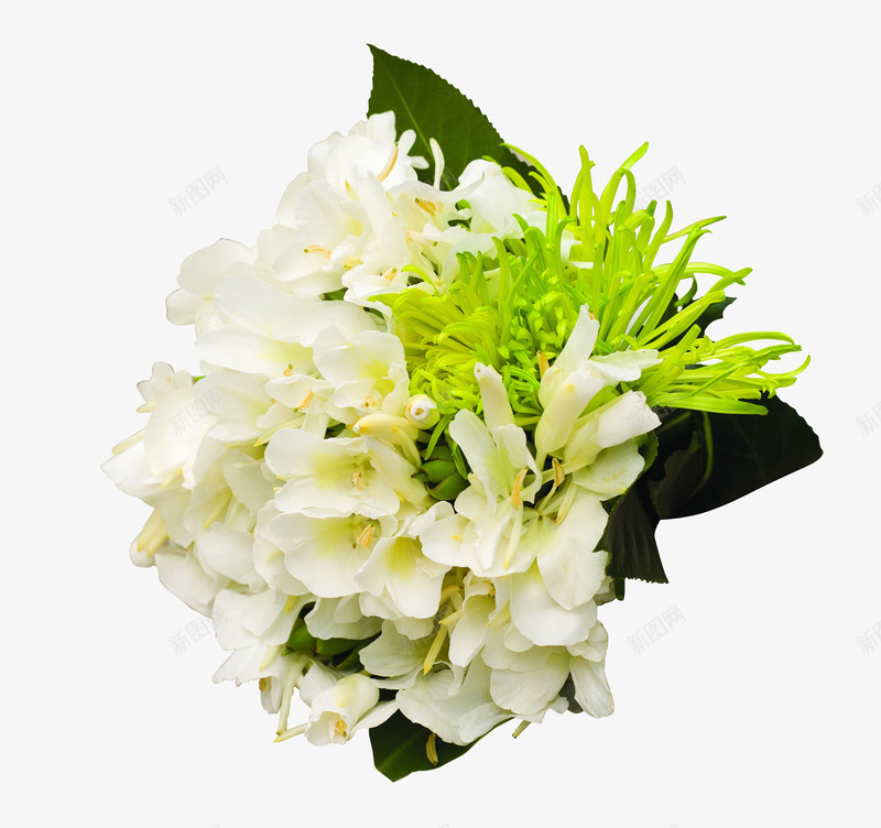 白色植物捧花png免抠素材_新图网 https://ixintu.com 捧花 植物 白色 绿色植物 鲜花