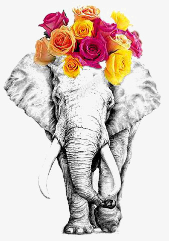 大象png免抠素材_新图网 https://ixintu.com 创意大象 卡通 手绘 艺术大象 鲜花 黑白