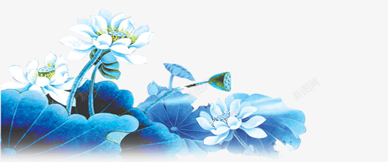 荷花png免抠素材_新图网 https://ixintu.com 白色 荷花 蓝色