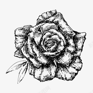 黑白卡通玫瑰花手绘图标图标