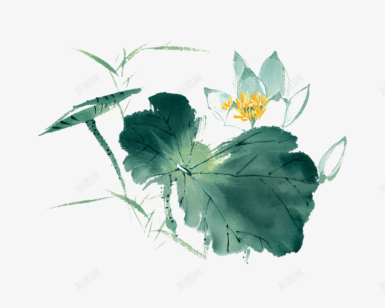 荷花插画png免抠素材_新图网 https://ixintu.com png 插画 荷花 透明