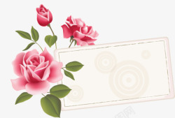 粉玫瑰文本框素材