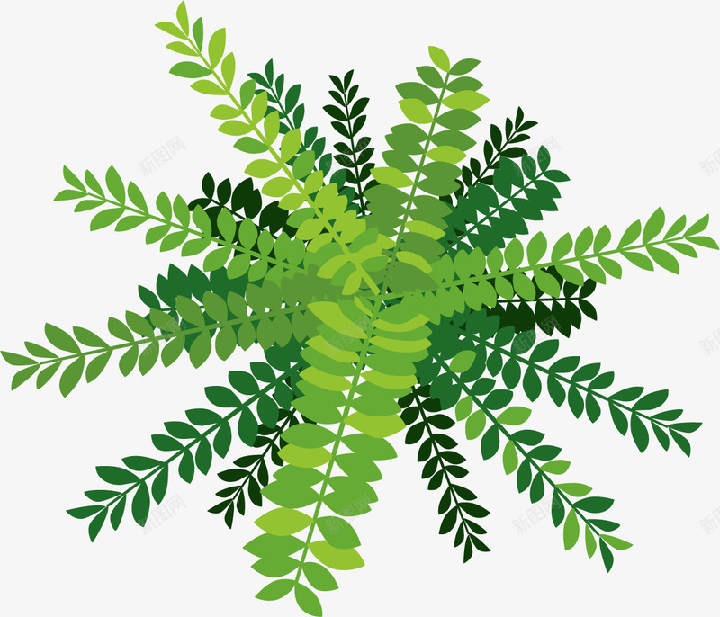 生长的绿色植物png免抠素材_新图网 https://ixintu.com ps植物平面贴图 卡通风格 平面 扁平风格 植物俯视图 生长 绿色