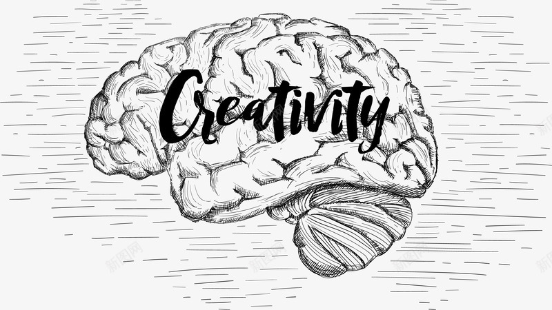 手绘大脑创造力想象力png免抠素材_新图网 https://ixintu.com 中枢神经系统 卡通手绘 头脑 思维 神经系统 脑神经 黑白