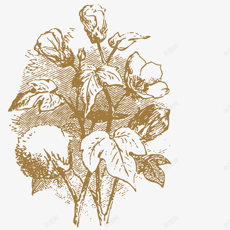 植物棉花png免抠素材_新图网 https://ixintu.com 农作物 剪影 形状 种植 艺术