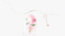 绳子钥匙鲜花透明瓶子素材