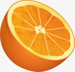 手绘水果橙子矢量图素材