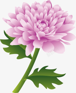 鲜花矢量图素材