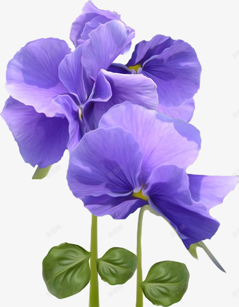 漂亮紫色花朵png免抠素材_新图网 https://ixintu.com 漂亮花朵 紫色鲜花 花枝 花瓣 鲜花