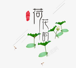 夏季荷花韵素材