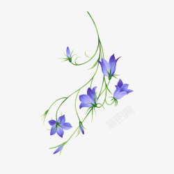 紫色花儿花卉元素高清图片