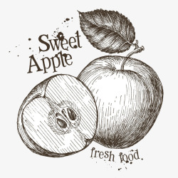 手绘素描苹果素材
