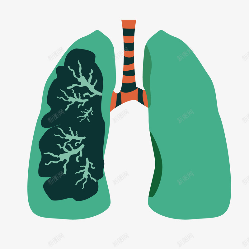 彩色圆弧健康肺元素矢量图ai免抠素材_新图网 https://ixintu.com 健康 卡通 圆弧 彩色 插画 支气管 纹理 矢量图