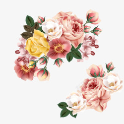 手绘鲜花矢量图素材