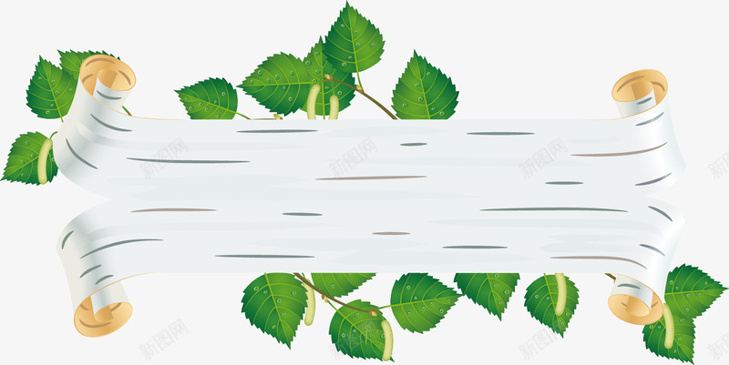 白桦树风格绿叶子标题背景png免抠素材_新图网 https://ixintu.com 白桦树植物banner背景叶子清爽风格