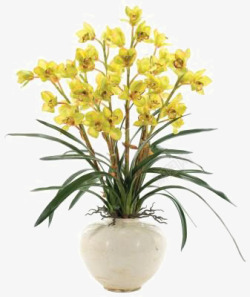 黄色鲜花白色花瓶插花素材