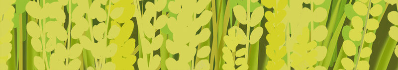 彩色创意小满节气元素png免抠素材_新图网 https://ixintu.com 创意 卡通插画 叶子 小满 彩色 植物 纹理 绿色 节气