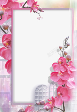 花瓣相框粉色花瓣背景边框高清图片
