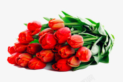 红色的鲜花花束素材