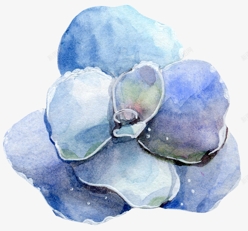 手绘创意蓝色花朵图png免抠素材_新图网 https://ixintu.com 创意 卡通手绘 植物 水墨 水彩 花卉 花朵 鲜花