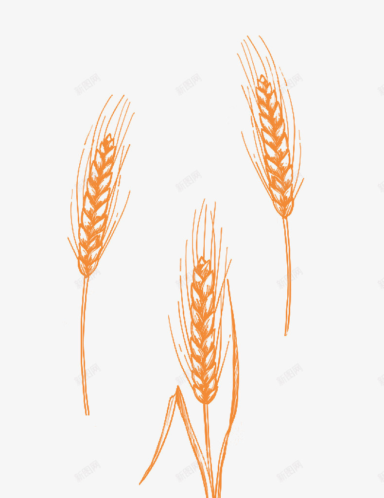 创意扁平卡通形状小麦png免抠素材_新图网 https://ixintu.com 创意 卡通 小麦 形状 扁平