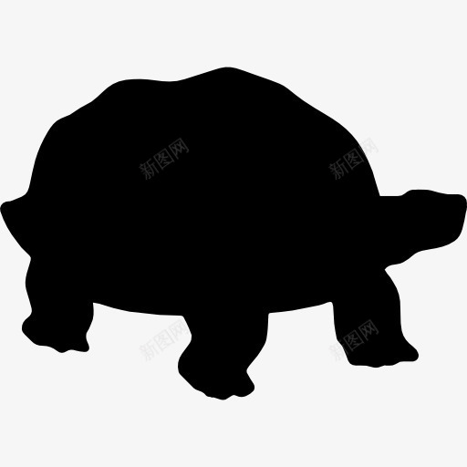 乌龟的轮廓图标png_新图网 https://ixintu.com 动物 动物王国 形状 爬行动物 轮廓 龟龟