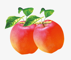 苹果五代红富士苹果图标高清图片
