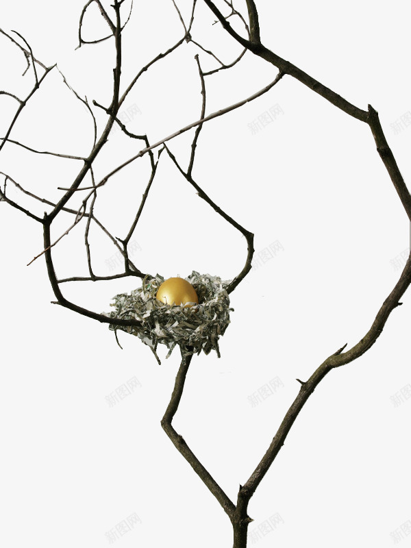 创意树丫上的鸟巢png免抠素材_新图网 https://ixintu.com 创意树丫上的鸟巢 枯树枝 理财 货币 金融 钱币 鸟巢中的金蛋