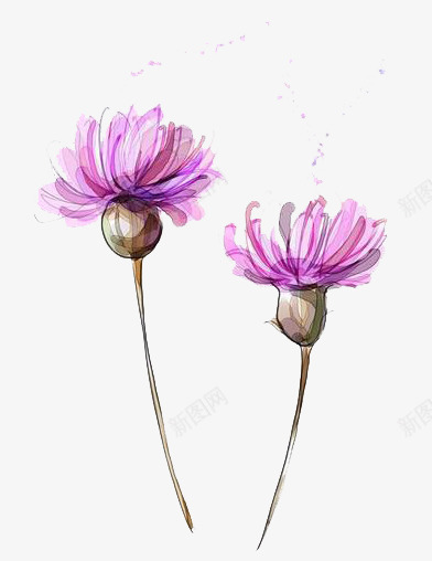 水彩紫色鲜花png免抠素材_新图网 https://ixintu.com 卡通 手绘 水彩 紫色 装饰 鲜花
