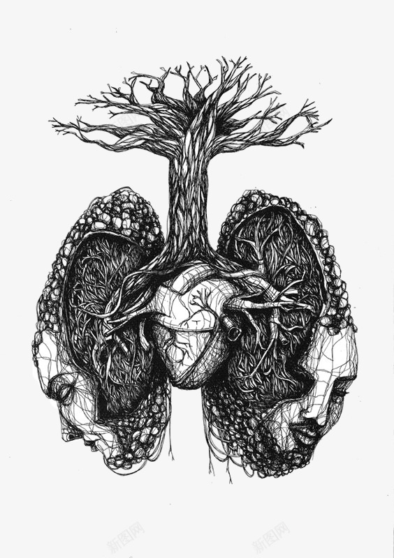 肺部器官png免抠素材_新图网 https://ixintu.com 人体器官 健康 吸烟 器官 枯树 素描 肺部 肺部创意