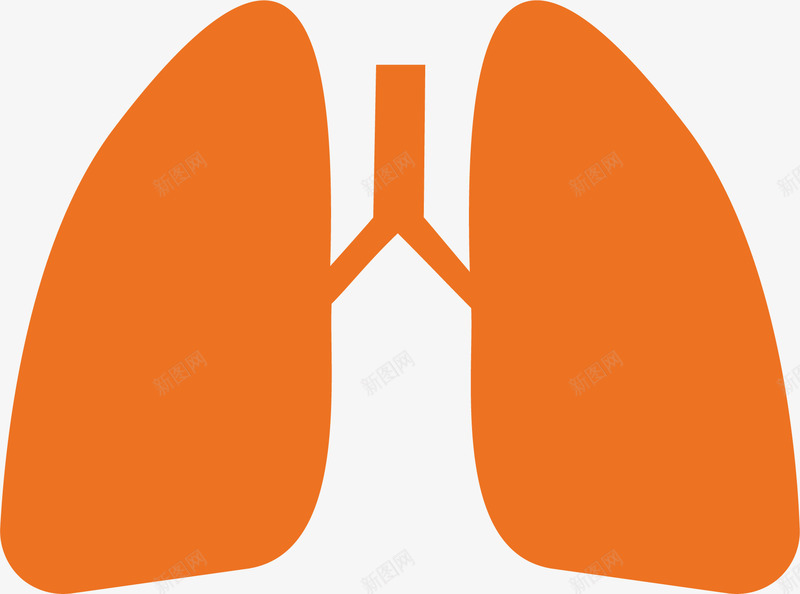 人体肺部png免抠素材_新图网 https://ixintu.com 人体肺部 健康医疗 医疗健康 医疗器官 医疗用品 医疗科技