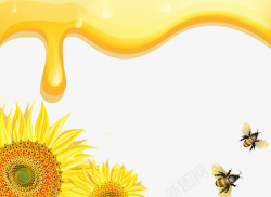 金黄蜂蜜金色花朵高清图片