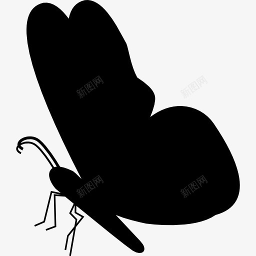 黑蝴蝶的形状从侧面图标png_新图网 https://ixintu.com 侧视图 动物 昆虫 蝴蝶 飞 黑色剪影