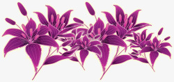 紫色手绘星光花朵素材