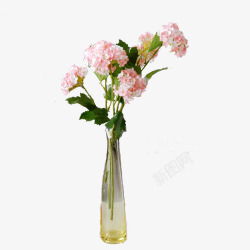 玻璃瓶鲜花素材