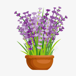 矢量盆栽紫色花卉盆栽高清图片