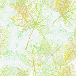叶茎背景透明树叶背景高清图片