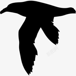 鸟形鸟的海燕形图标高清图片