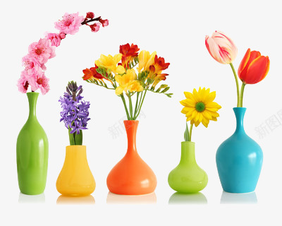 五个不同的彩色插画png免抠素材_新图网 https://ixintu.com 彩色 花朵 花瓶 鲜花