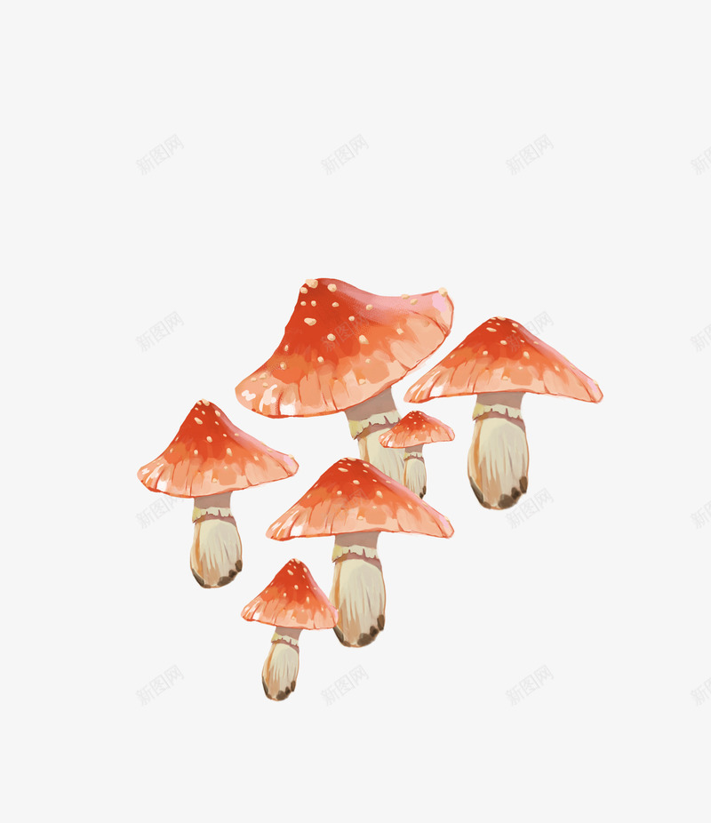卡通橘红色手绘蘑菇png免抠素材_新图网 https://ixintu.com 动漫风格 卡通 手绘 植物 橘红色 菌菇 蘑菇