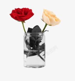 水生肖摆件彩色玫瑰花高清图片