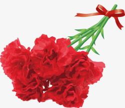 红色写实母亲节花朵素材